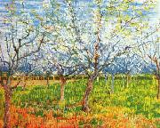 Vincent Van Gogh Orchard in Blossom oil painting reproduction